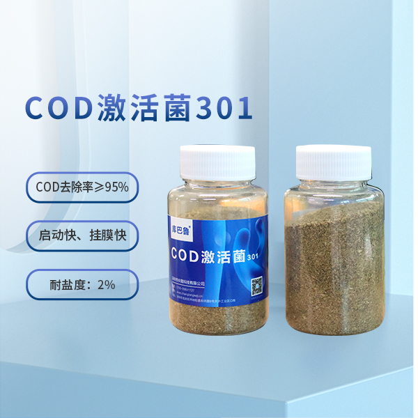 COD激活菌301.jpg